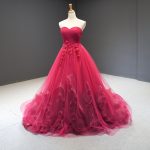 Fantasy Korean Slim High Waist Bra Dress